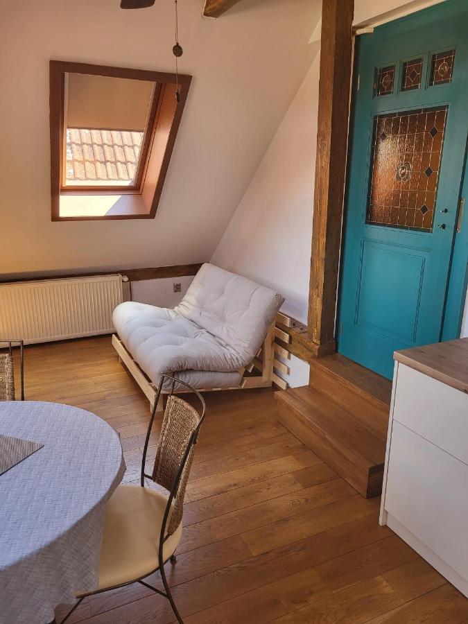 Roof Apartment Ztracena Olomouc Buitenkant foto